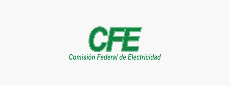 Federal Electricity Commission
